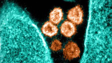 Reprodução Record Tv