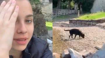 Reprodução/TikTok @dudabuchalla