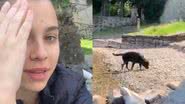 Reprodução/TikTok @dudabuchalla