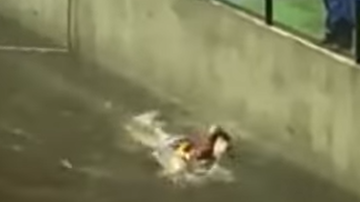 Reprodução/ Vídeo