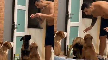 Reprodução/TikTok @leonamvalli