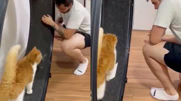 Reprodução/TikTok @tudosobregatos