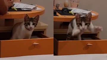 Reprodução/TikTok @its_nyat