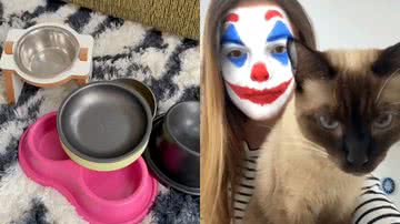 Reprodução/TikTok @a.gatamaia