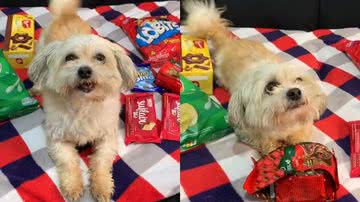 Reprodução/TikTok @marleyeeu77