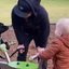 Cachorro se diverte ao brincar de gangorra com garotinho e vídeo do momento viraliza