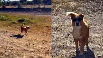 Reprodução/TikTok @lawendysugey