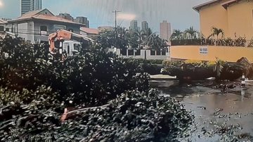 Reprodução / TV Bahia