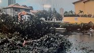Reprodução / TV Bahia