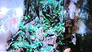 Reprodução/ Rede Bahia