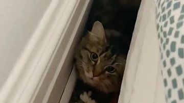 Reprodução/Youtube