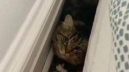 Reprodução/Youtube