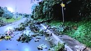 Reprodução/ Rede Bahia