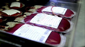 Bnews/ Dinaldo Silva