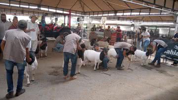 Divulgação / Setur-Ba