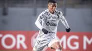 Raul Baretta / Divulgação / Santos FC
