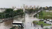 Reprodução/Agência Brasil
