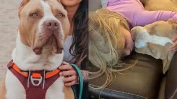 Reprodução/TikTok @grandtetonbullies