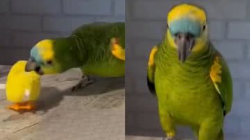 Reprodução/TikTok @isaque_slv23