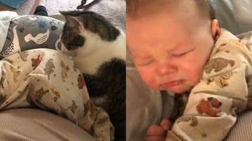 Reprodução/TikTok @erinlynn95