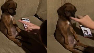 Reprodução/TikTok @carolinymartins1