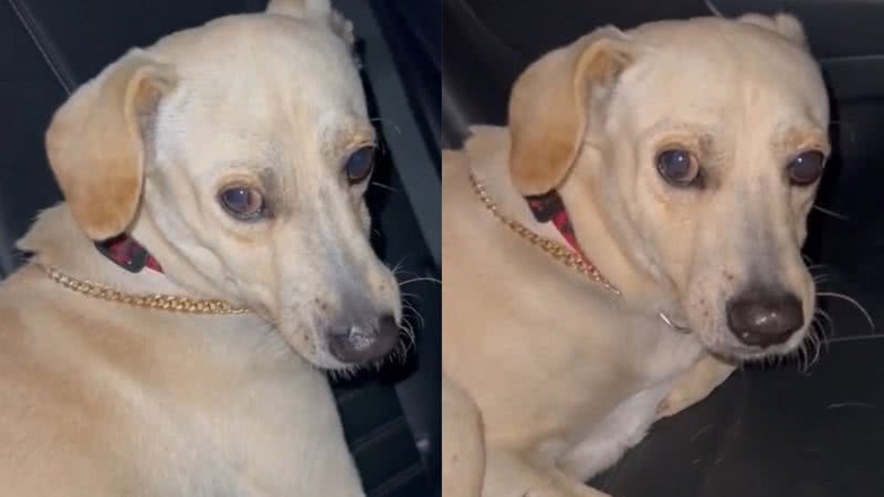 Reprodução/TikTok @atan_uber
