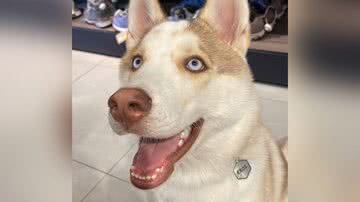 Reprodução/TikTok @gii.aguiar