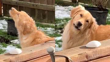 Reprodução/TikTok @caralync0