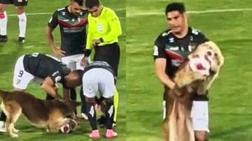 Reprodução/TikTok @jeshucaroca