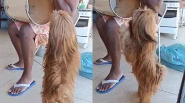 Reprodução/TikTok @thabatabittencourt