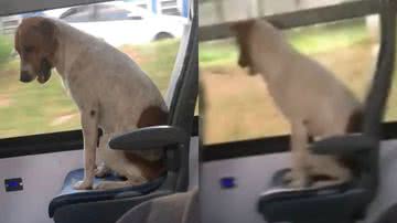 Reprodução/Redes Sociais