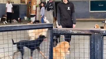 Reprodução/TikTok @byazigi