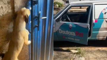 Reprodução/TikTok @tainah_k