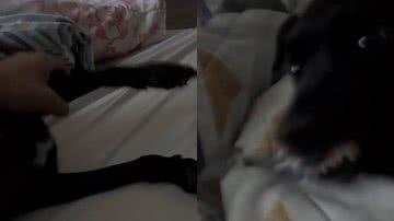 Reprodução/TikTok @laryrg_
