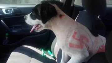 Reprodução/Facebook