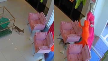 Reprodução/TikTok @tina.betina_