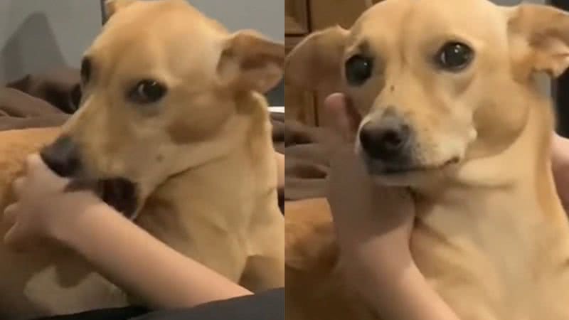 Reprodução/TikTok @lena_tattoobxd