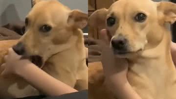 Reprodução/TikTok @lena_tattoobxd