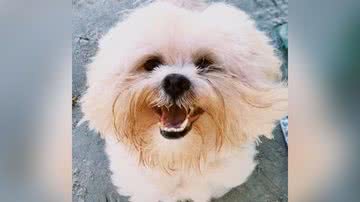 Reprodução/TikTok @cap1tu