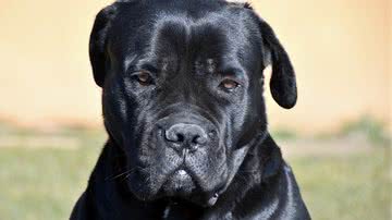 Erika Varga por Pixabay