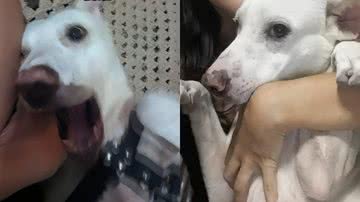 Reprodução/TikTok @carolina.goes27