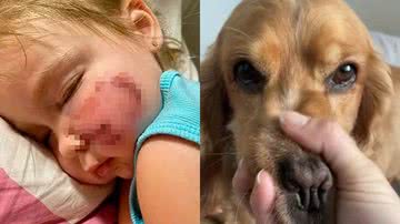 Reprodução/TikTok @klara_tsetkin