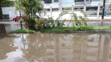 Reprodução/Seguidor BNews