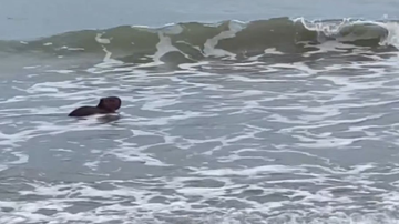 Reprodução / Redes Sociais