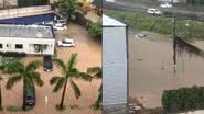 Reprodução/Vídeo