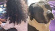 Reprodução/TikTok @shegotcharismaa