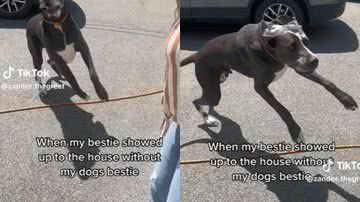 Reprodução / Redes Sociais