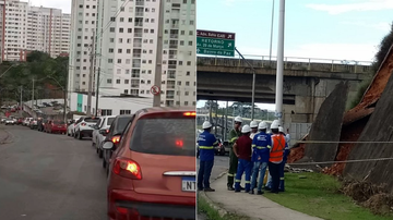 Reprodução/Redes Sociais e Divulgação/Transalvador