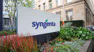 Divulgação/Syngenta