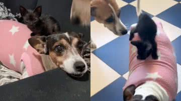 Reprodução/TikTok @brunasalzano